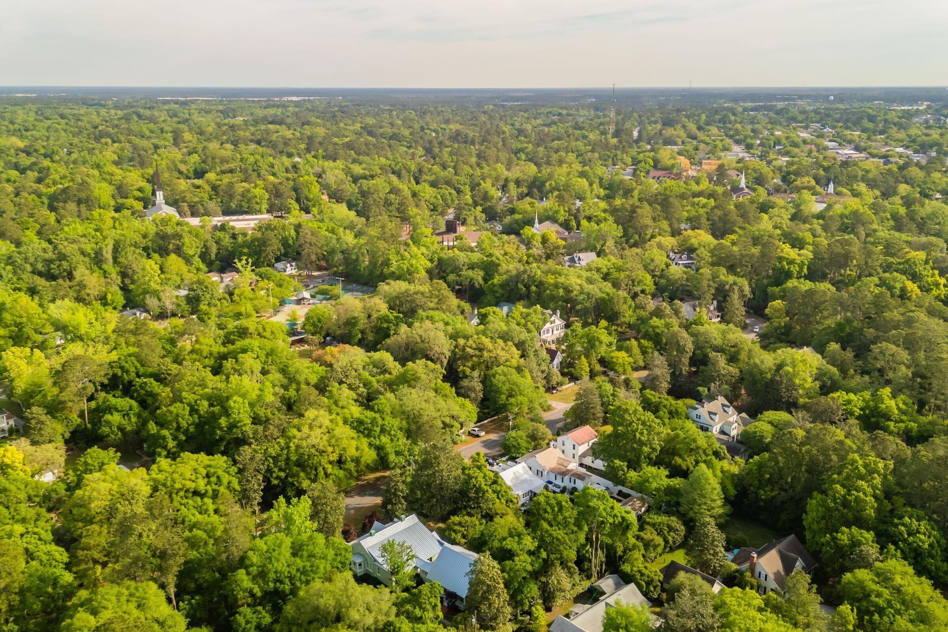 317 Sumter Avenue Photo 126