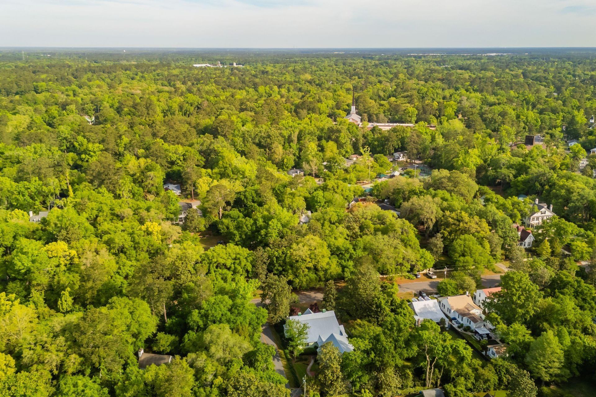 317 Sumter Avenue Photo 127