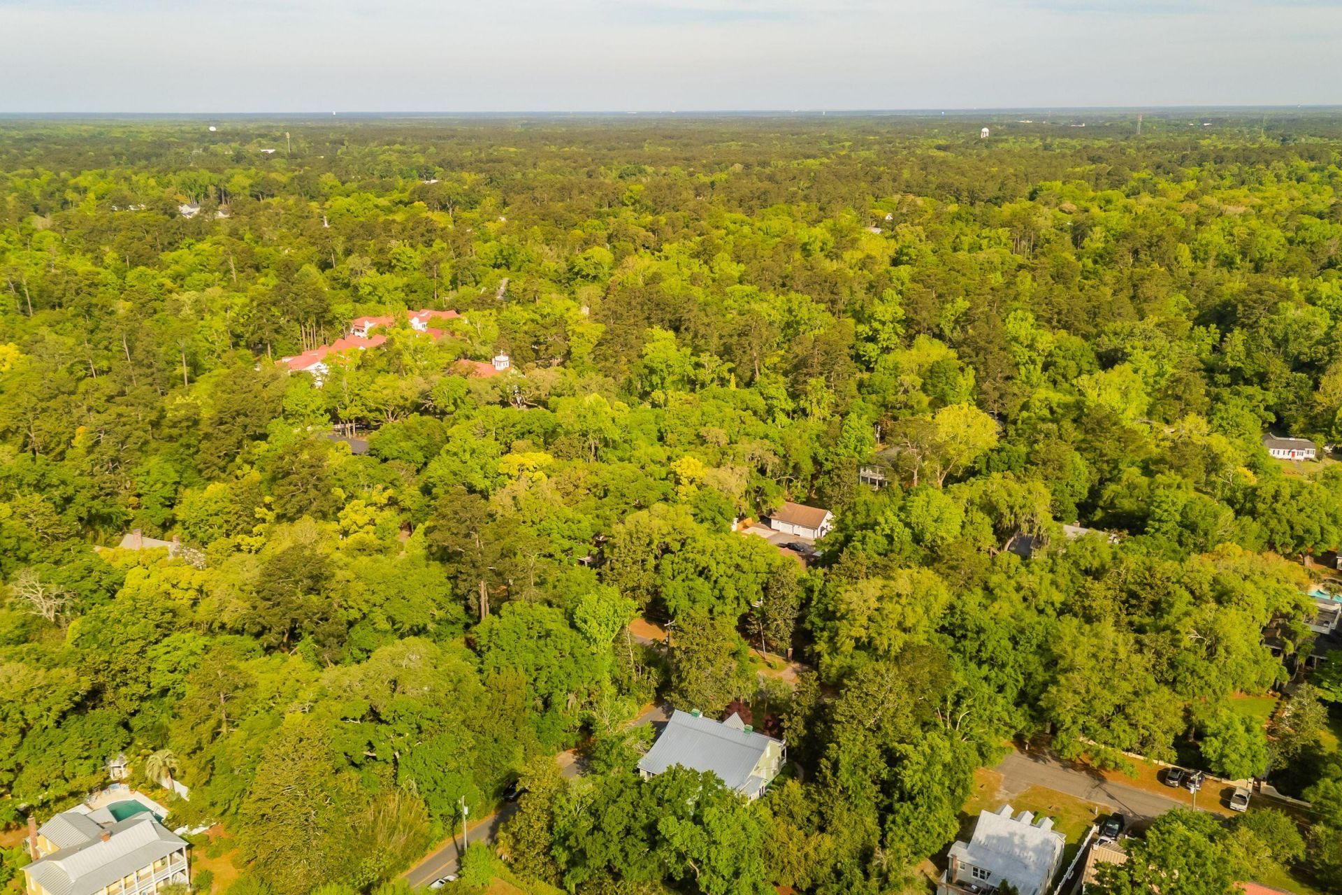 317 Sumter Avenue Photo 128