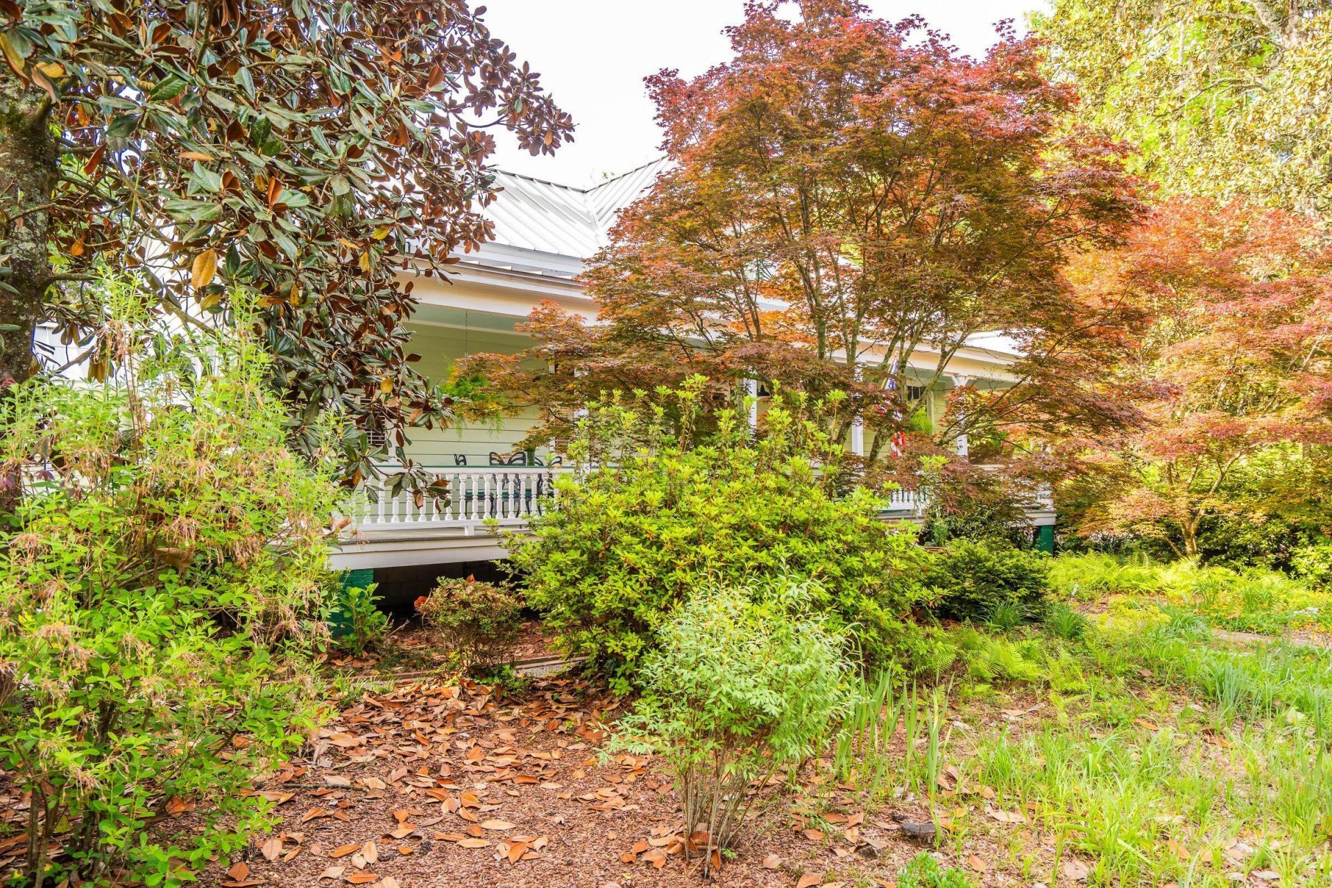 317 Sumter Avenue Photo 4