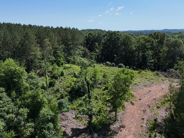Lot 2 Lamontville Road, Decatur, TN 37322
