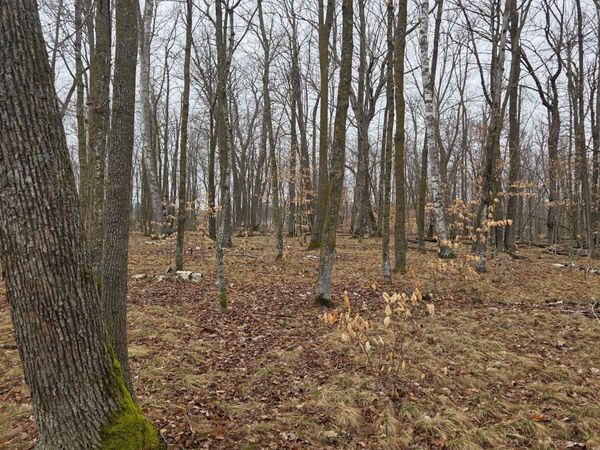 TBD XXX , Longville, MN 56655