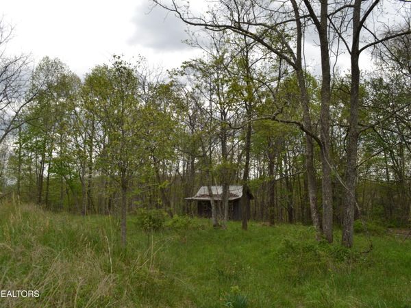 0 N Of Deer Lodge Hwy, Deer Lodge, TN 37726