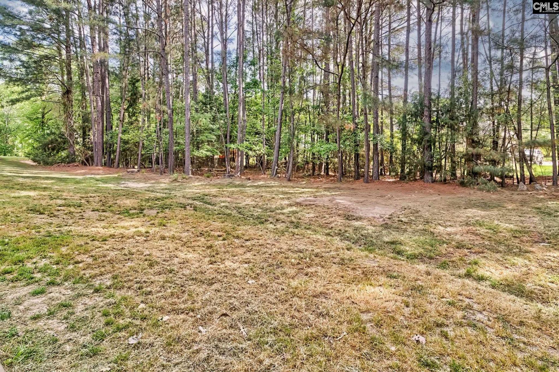 1338 Camping Road Photo 28