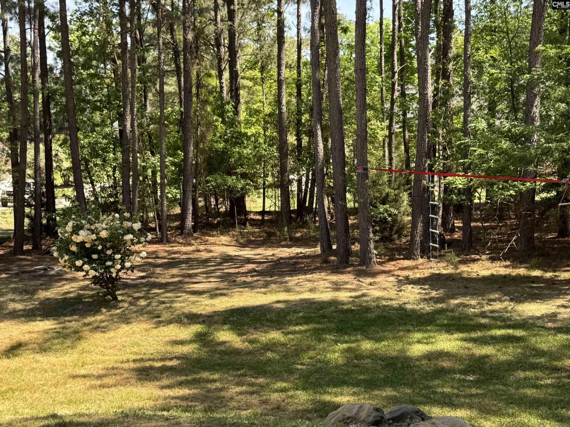 1338 Camping Road Photo 32