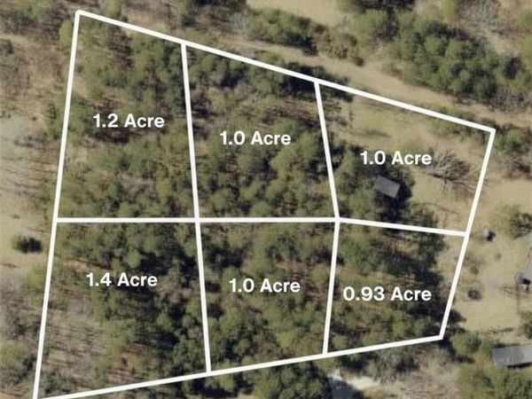 2903 Cammie Wages Road , Dacula, GA 30019