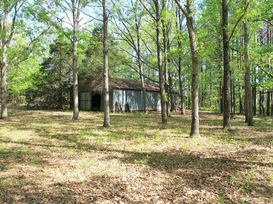 Property Image 39