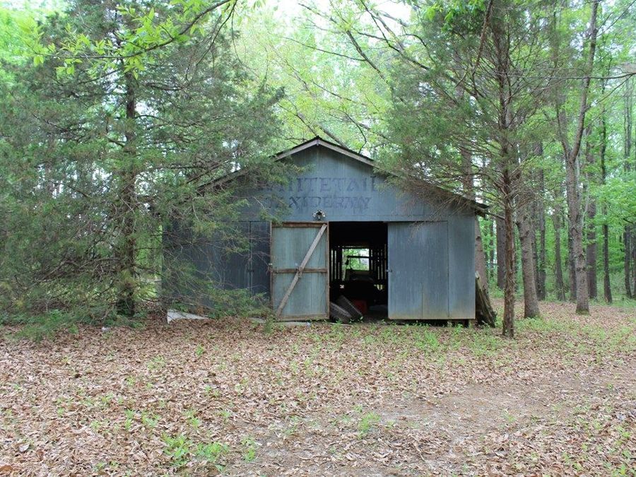 Property Image 40