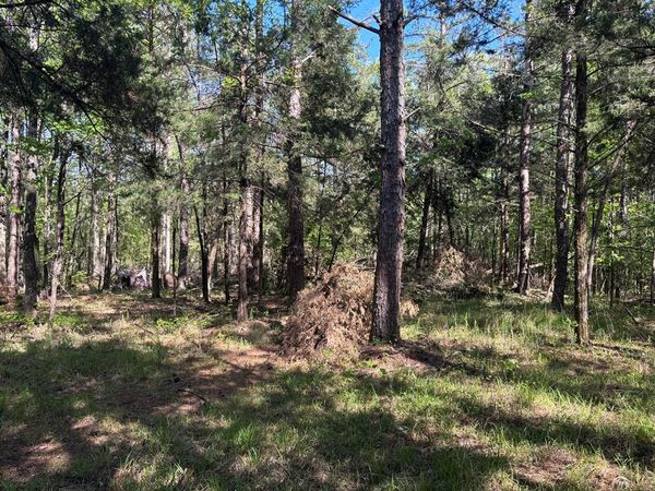 00 Hobby Coop Road, Thaxton, MS 38871