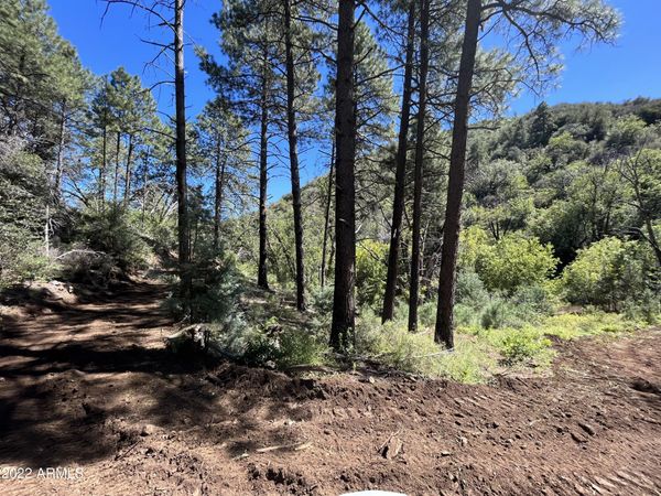 00 S Alexandra Road, Unit -, Crown King, AZ 86343