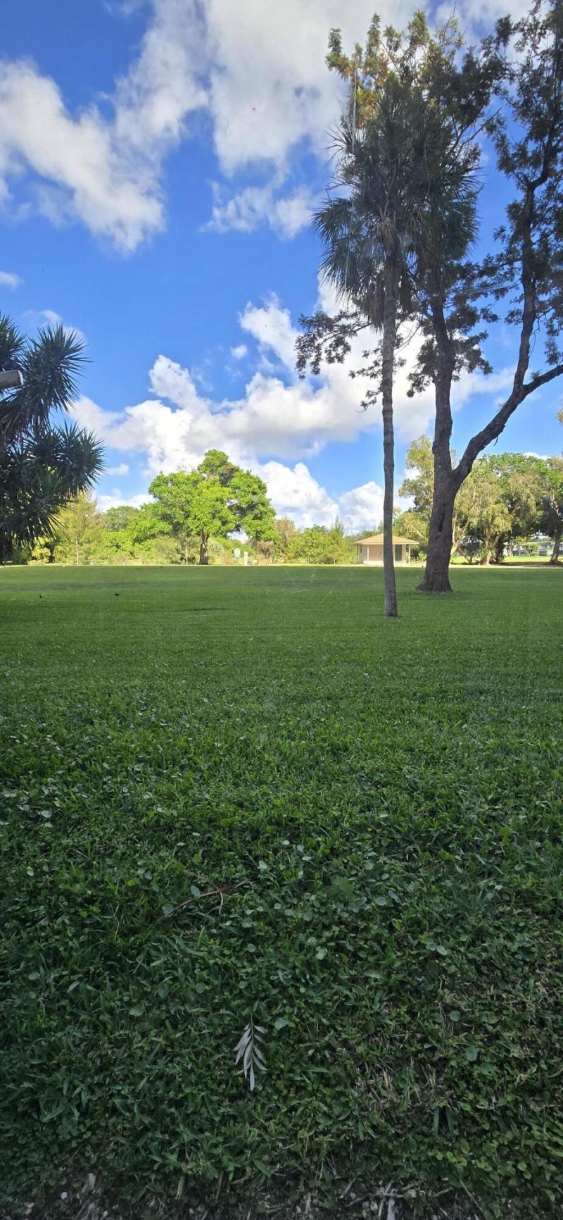 3300 N Palm Aire Drive, Unit 109, Pompano Beach, FL 33069 Photo