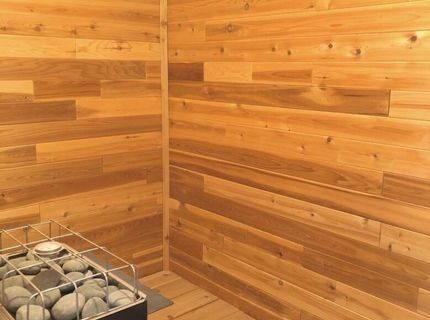 2801 Tamara Court, Minden, NV 89423 Photo