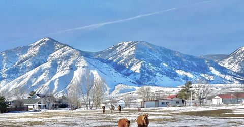 2801 Tamara Court, Minden, NV 89423 Photo