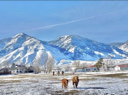 2801 Tamara Court, Minden, NV 89423 Photo