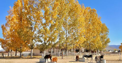 2801 Tamara Court, Minden, NV 89423 Photo