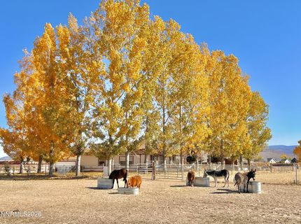 2801 Tamara Court, Minden, NV 89423 Photo