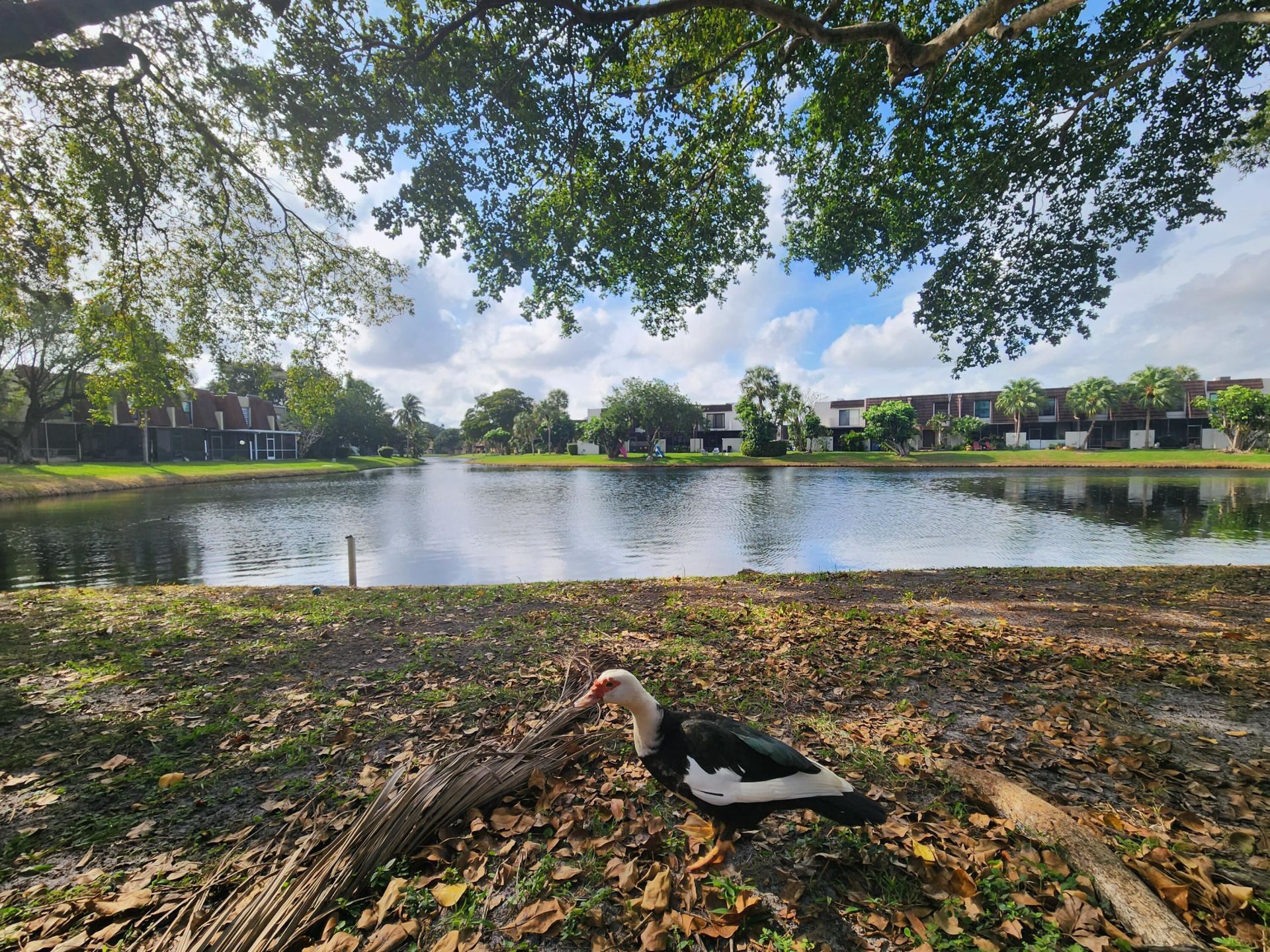1504 NW 89th Terrace, Unit 1504, Pembroke Pines, FL 33024 Photo