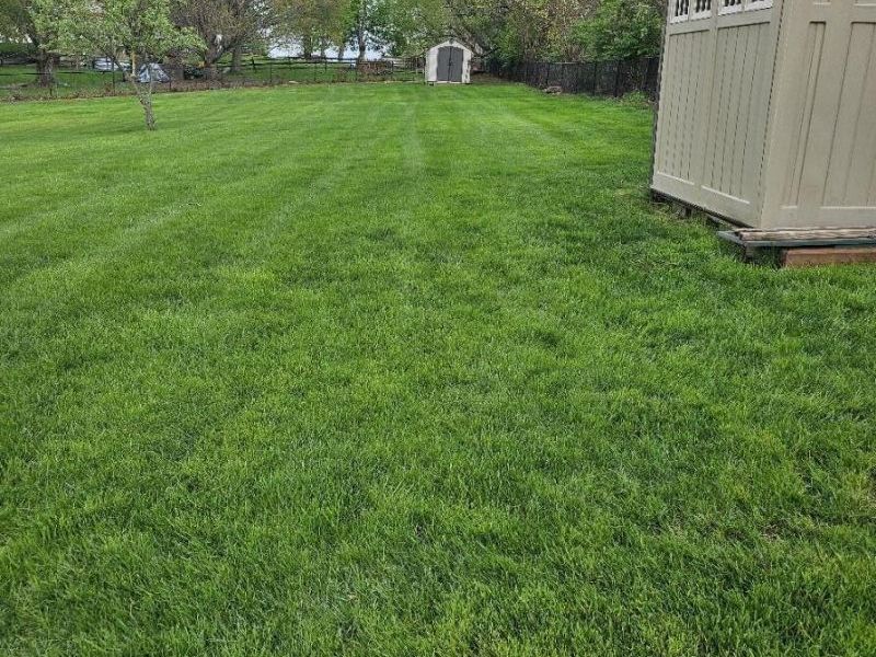 1545 Linden Court, Florence, KY 41042 Photo 41
