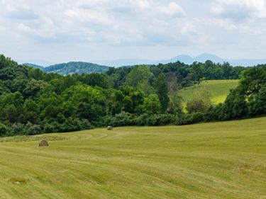 25 KOOGLER TRL, RAPHINE, VA 24472