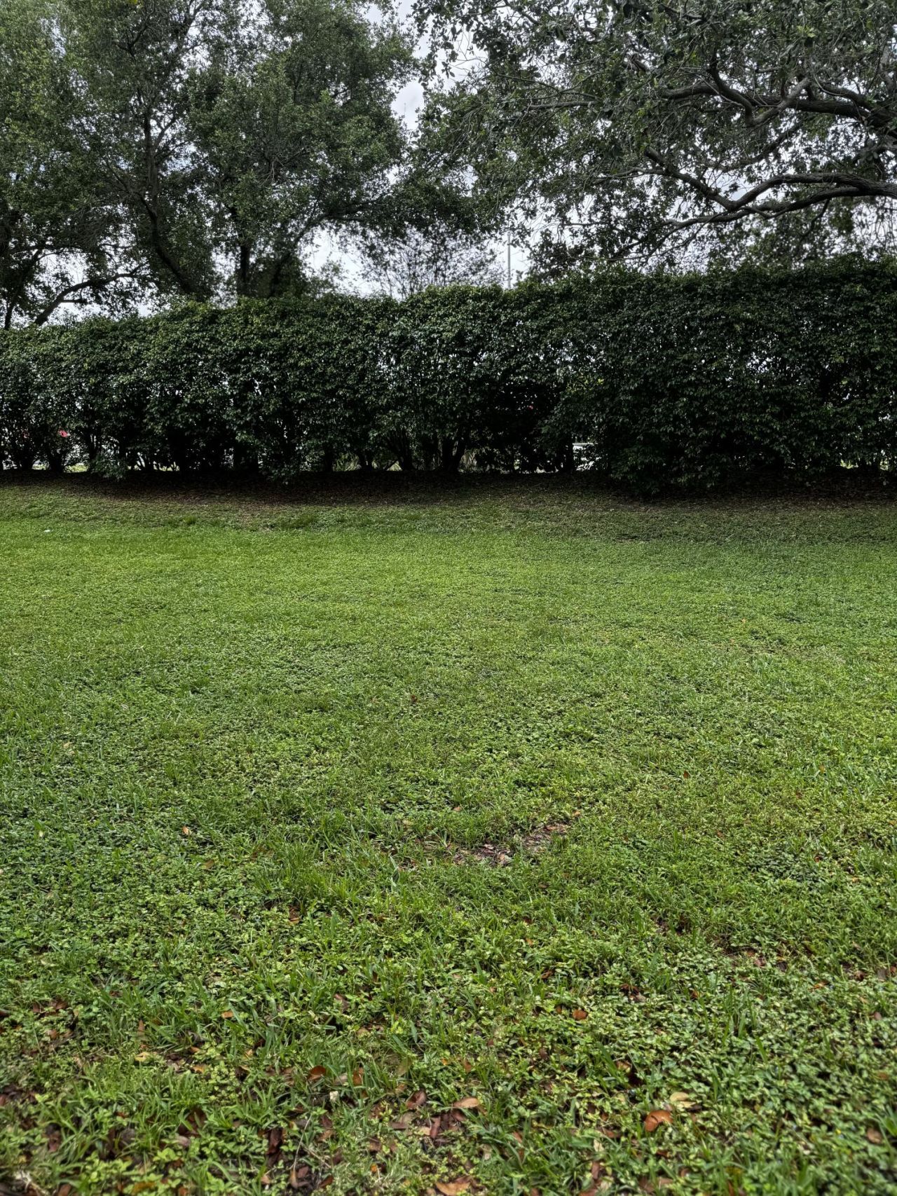 1868 NW 79th Way, Pembroke Pines, FL 33024 Photo