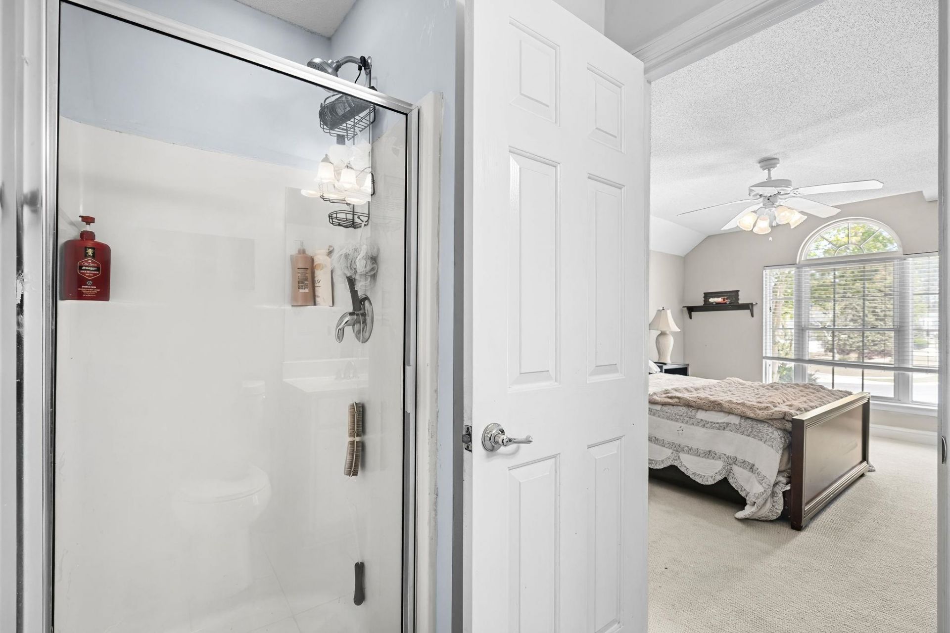 4190 Setter Ct. Photo 37