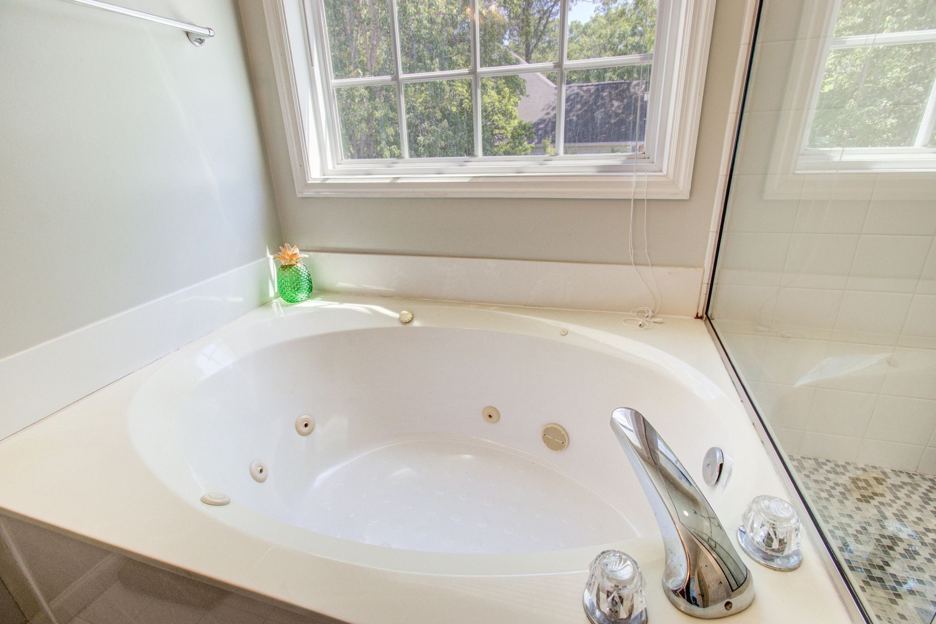 683 Hamlet Circle Photo 24