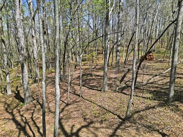 121 Heritage Plantation, Ball Ground, GA 30107