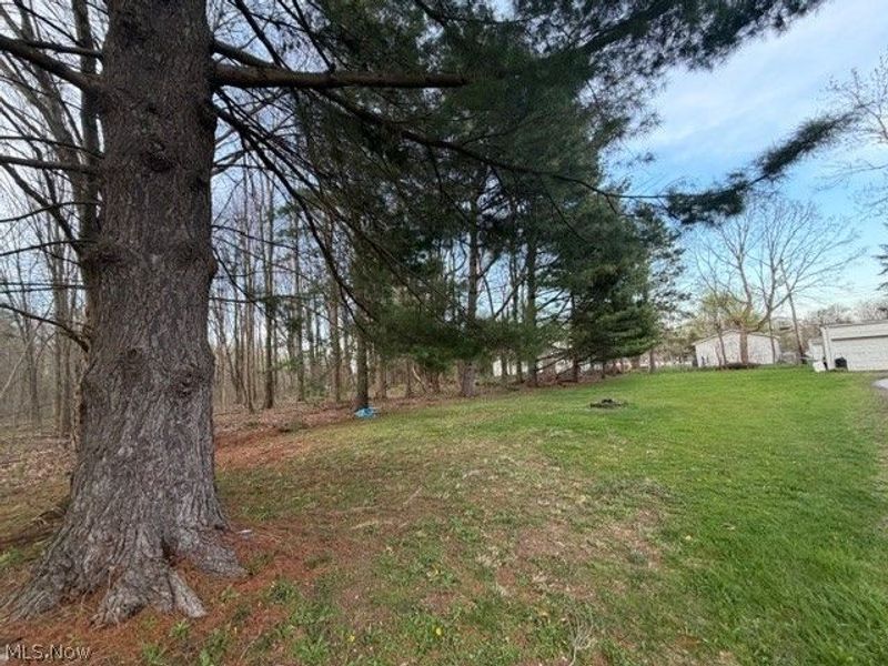 Willow Street, Solon, OH 44139 Photo 10