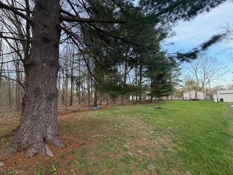 Willow Street, Solon, OH 44139 Photo 11