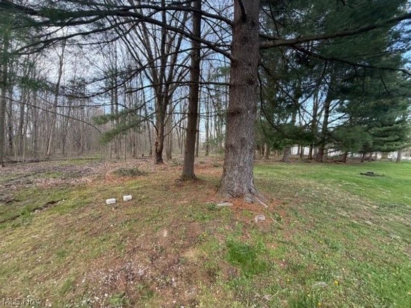 Willow Street, Solon, OH 44139 Photo 12