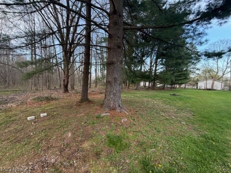 Willow Street, Solon, OH 44139 Photo 13