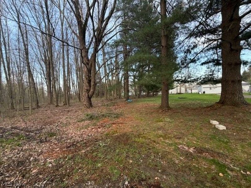 Willow Street, Solon, OH 44139 Photo 2