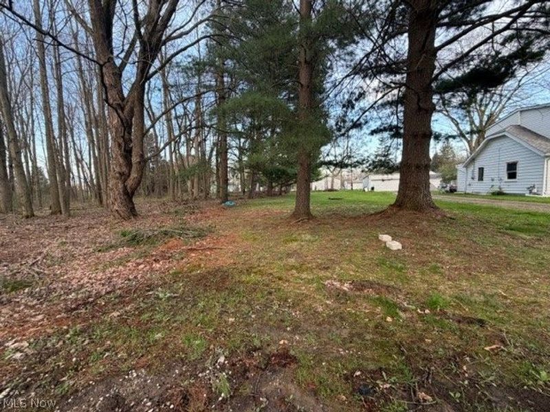 Willow Street, Solon, OH 44139 Photo 3