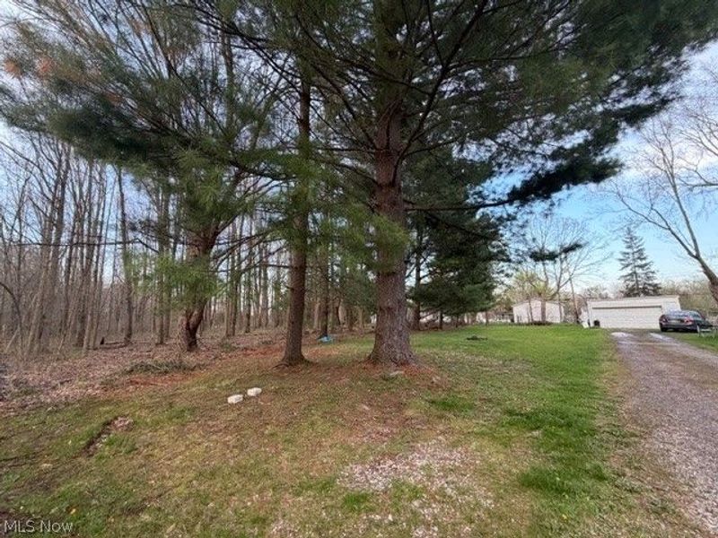 Willow Street, Solon, OH 44139 Photo 5