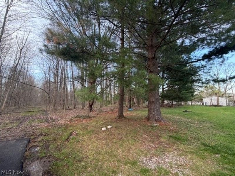 Willow Street, Solon, OH 44139 Photo 6