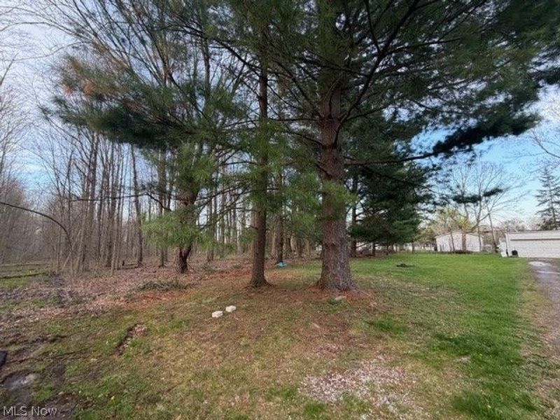 Willow Street, Solon, OH 44139 Photo 7