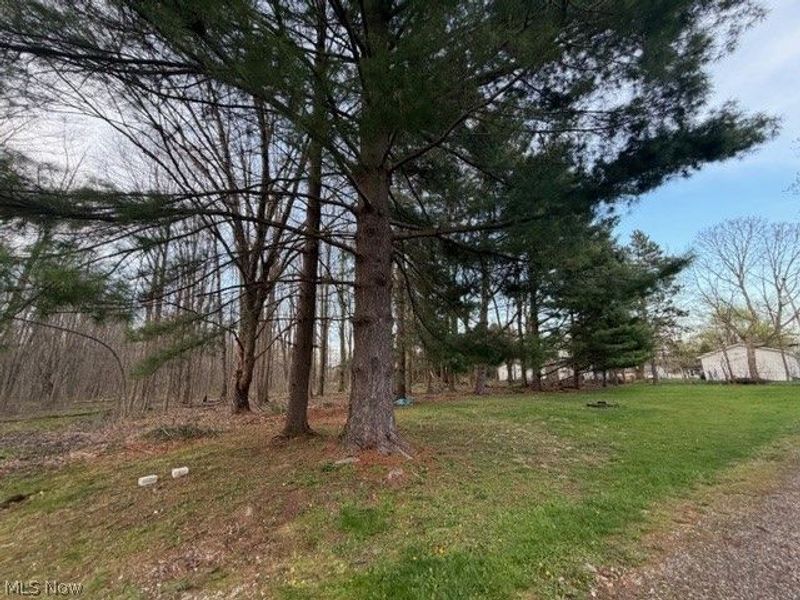 Willow Street, Solon, OH 44139 Photo 8