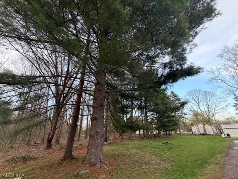 Willow Street, Solon, OH 44139 Photo 9