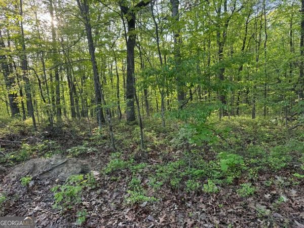 1440 Hanna Drive, Ranger, GA 30734