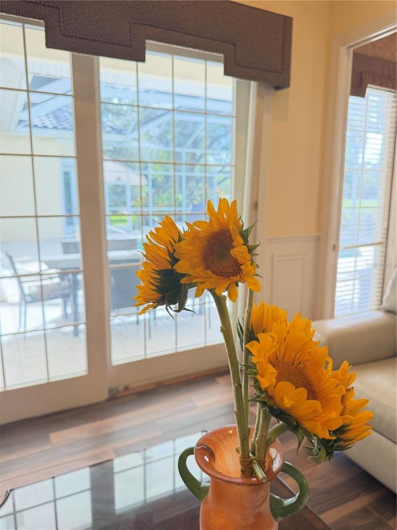 402 Macewen Drive, Osprey, FL 34229 Photo