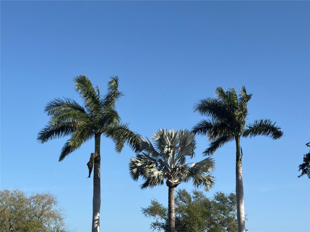 402 Macewen Drive, Osprey, FL 34229 Photo