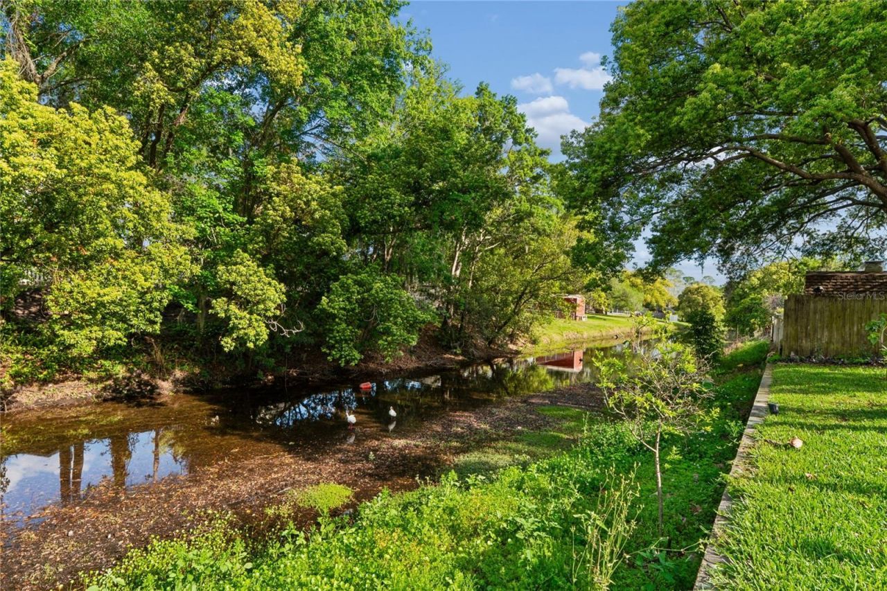 3122 Bahia Avenue, Holiday, FL 34690 Photo