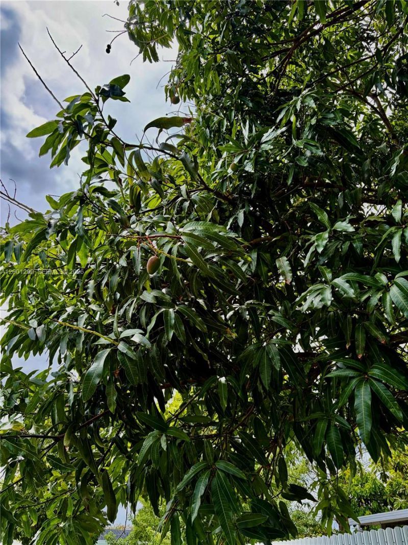 11893 SW 197th St, Miami, FL 33177 Photo