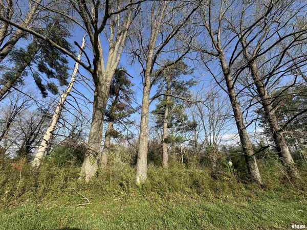 5528 Gannett Road, Mulkeytown, IL 62865