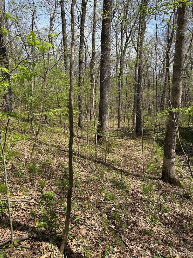 000 Metcalf Road, Iuka, IL 62849 Main Photo