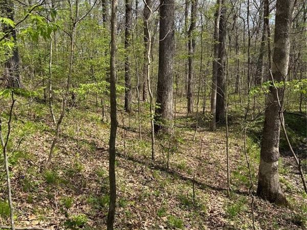 000 Metcalf Road, IUKA, IL 62849