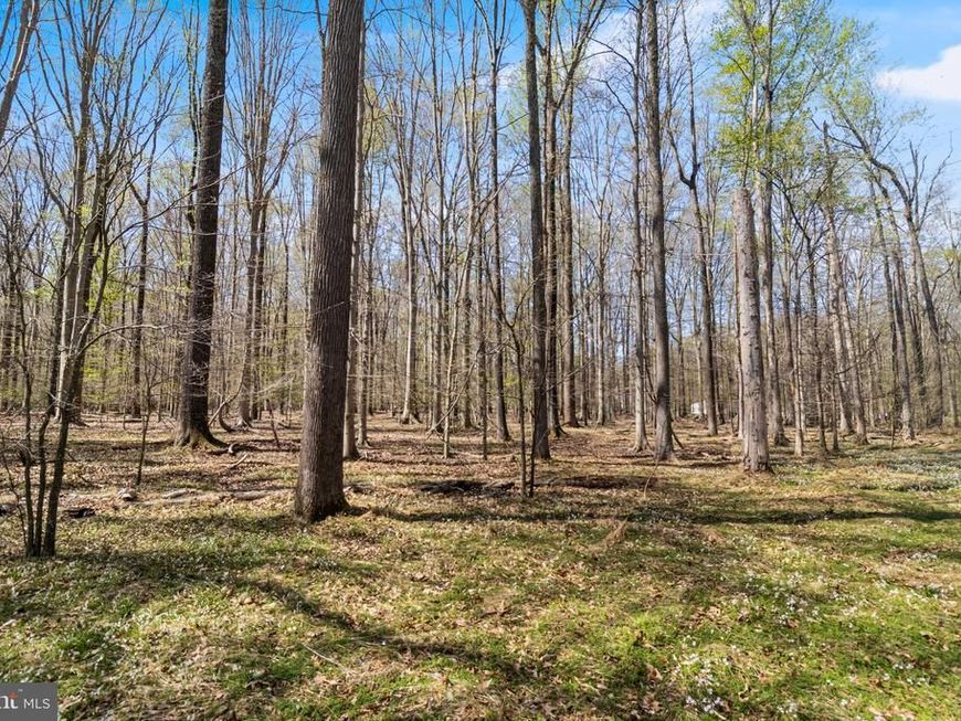 Lot 14 Billingsley Road , White Plains, MD 20695 Main Photo