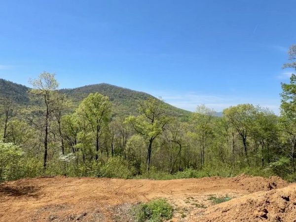 520 Stevia Way, Cosby, TN 37722