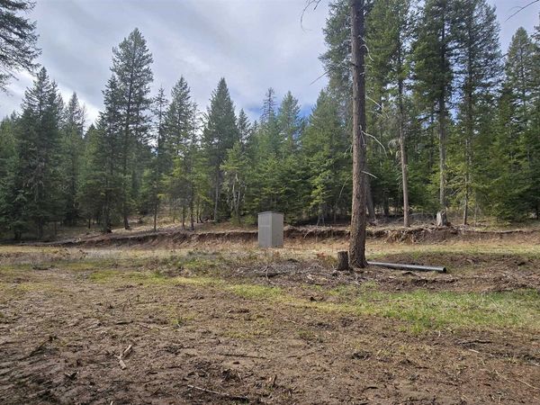 4910 Getna Way, Springdale, WA 99173