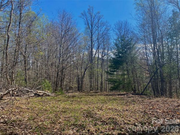 00 Scenic View Drive, Green Mountain, NC 28740